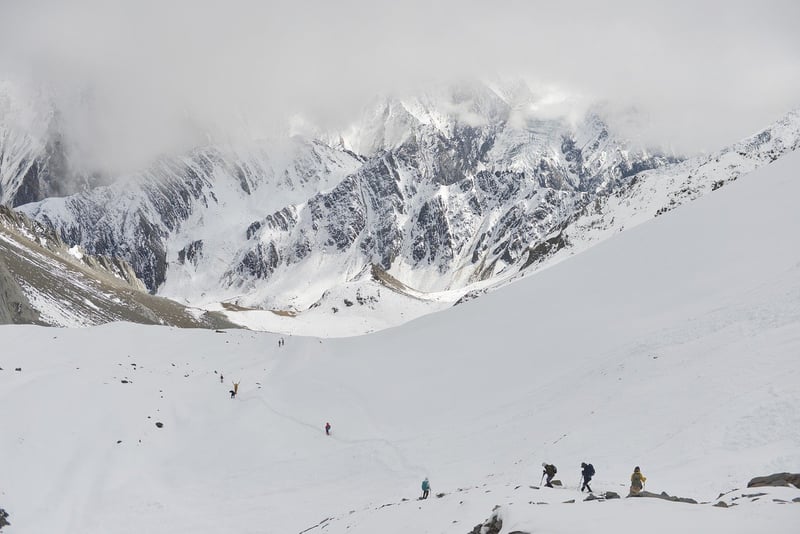 Exploration Expeditions